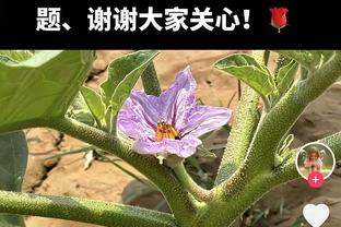 意媒：尤文报价拉齐奥中场费利佩-安德森 并追求伯恩茅斯后卫凯利